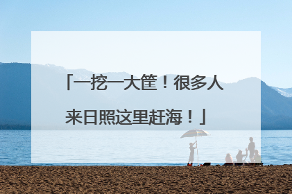 一挖一大筐！很多人来日照这里赶海！