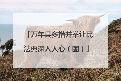 万年县多措并举让民法典深入人心（图）
