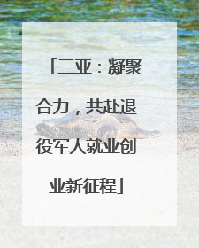 三亚：凝聚合力，共赴退役军人就业创业新征程