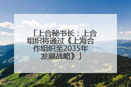 上合秘书长：上合组织将通过《上海合作组织至2035年发展战略》