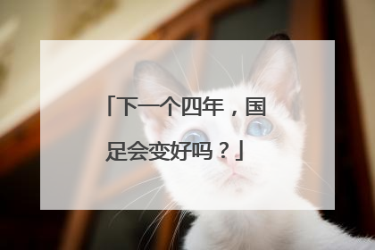 下一个四年，国足会变好吗？