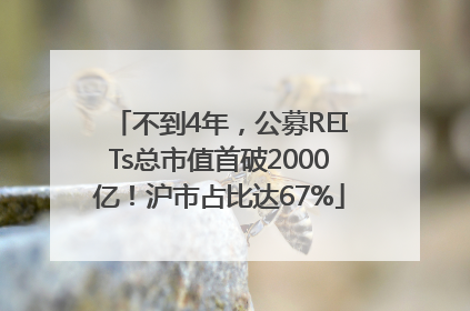 不到4年，公募REITs总市值首破2000亿！沪市占比达67%
