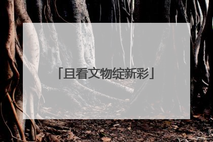 且看文物绽新彩