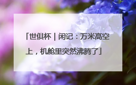 世俱杯｜闲记：万米高空上，机舱里突然沸腾了