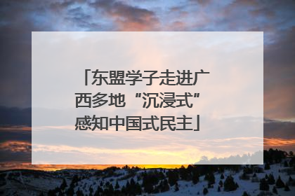 东盟学子走进广西多地“沉浸式”感知中国式民主