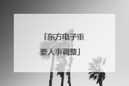 东方电子重要人事调整