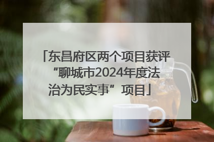 东昌府区两个项目获评“聊城市2024年度法治为民实事”项目
