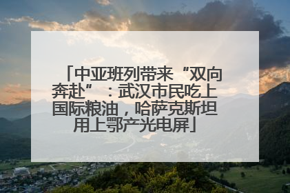 中亚班列带来“双向奔赴”：武汉市民吃上国际粮油，哈萨克斯坦用上鄂产光电屏