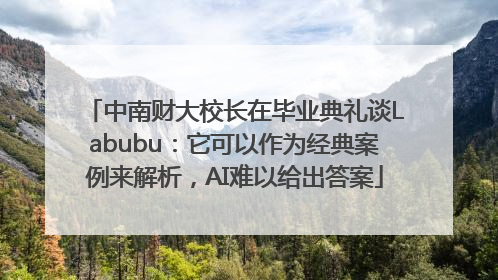 中南财大校长在毕业典礼谈Labubu：它可以作为经典案例来解析，AI难以给出答案