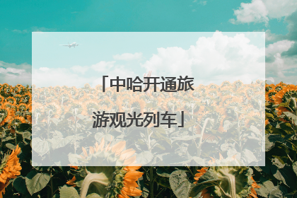 中哈开通旅游观光列车