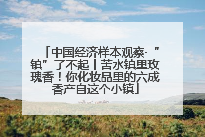 中国经济样本观察·“镇”了不起丨苦水镇里玫瑰香！你化妆品里的六成香产自这个小镇