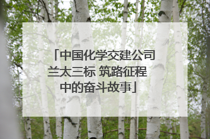 中国化学交建公司兰太三标 筑路征程中的奋斗故事