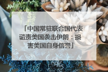 中国常驻联合国代表谴责美国袭击伊朗：损害美国自身信誉