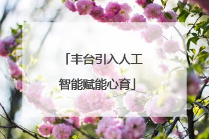 丰台引入人工智能赋能心育