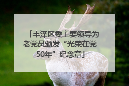 丰泽区委主要领导为老党员颁发“光荣在党50年”纪念章
