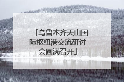 乌鲁木齐天山国际枢纽港交流研讨会圆满召开
