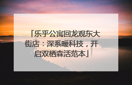 乐乎公寓回龙观东大街店：深系暖科技，开启双栖森活范本