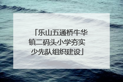 乐山五通桥牛华镇二码头小学夯实少先队组织建设