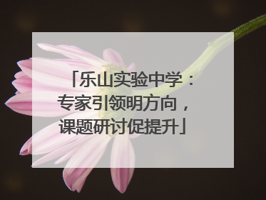 乐山实验中学：专家引领明方向，课题研讨促提升