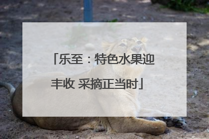 乐至：特色水果迎丰收 采摘正当时