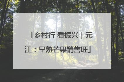 乡村行 看振兴｜元江：早熟芒果销售旺
