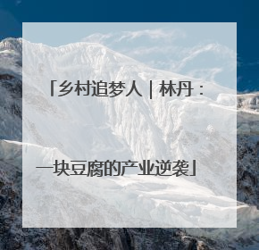 乡村追梦人｜林丹：一块豆腐的产业逆袭