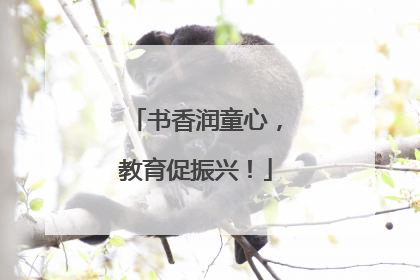 书香润童心，教育促振兴！