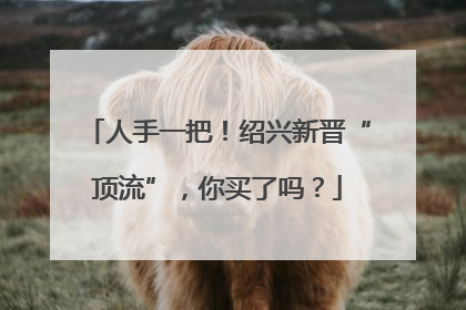 人手一把！绍兴新晋“顶流”，你买了吗？