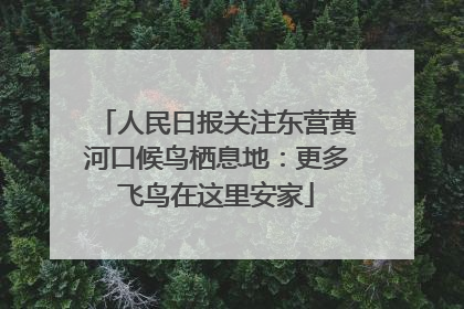 人民日报关注东营黄河口候鸟栖息地：更多飞鸟在这里安家