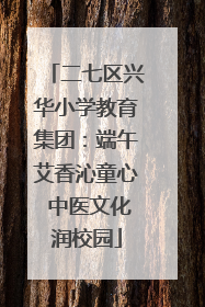 二七区兴华小学教育集团：端午艾香沁童心 中医文化润校园
