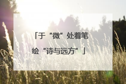 于“微”处着笔 绘“诗与远方”