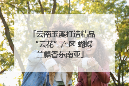 云南玉溪打造精品“云花”产区 蝴蝶兰飘香东南亚