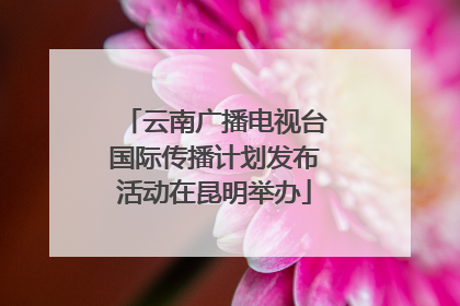 云南广播电视台国际传播计划发布活动在昆明举办