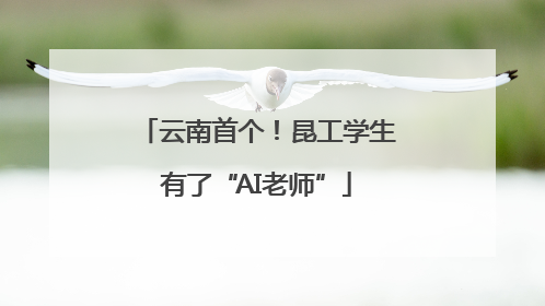 云南首个！昆工学生有了“AI老师”
