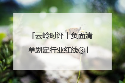云岭时评丨负面清单划定行业红线③