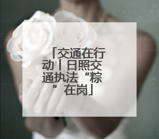 交通在行动丨日照交通执法“粽”在岗