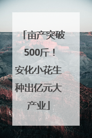 亩产突破500斤！安化小花生种出亿元大产业