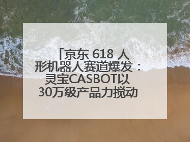 京东 618 人形机器人赛道爆发：灵宝CASBOT以30万级产品力搅动行业新变局