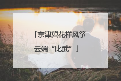 京津冀花样风筝云端“比武”