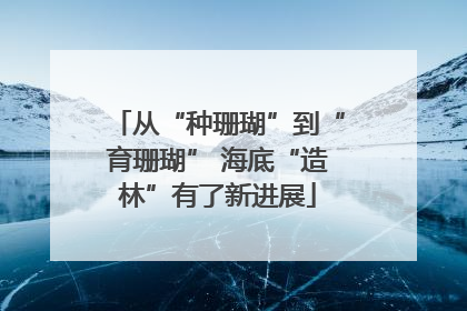 从“种珊瑚”到“育珊瑚” 海底“造林”有了新进展