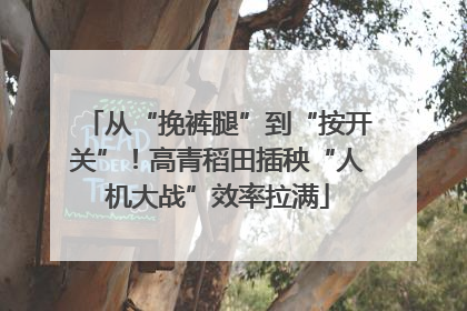 从“挽裤腿”到“按开关”！高青稻田插秧“人机大战”效率拉满