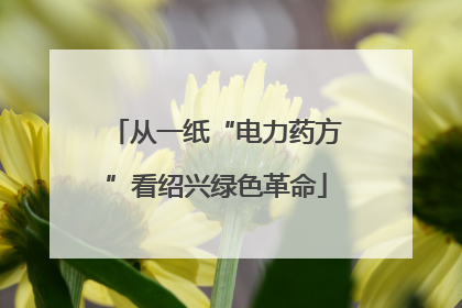 从一纸“电力药方”看绍兴绿色革命