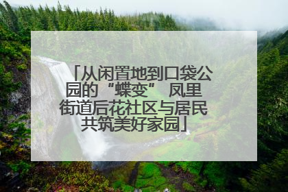 从闲置地到口袋公园的“蝶变” 凤里街道后花社区与居民共筑美好家园