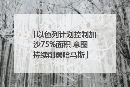 以色列计划控制加沙75%面积 意图持续削弱哈马斯