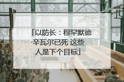 以防长：穆罕默德·辛瓦尔已死 这些人是下个目标