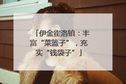 伊金霍洛镇：丰富“菜篮子”，充实“钱袋子”