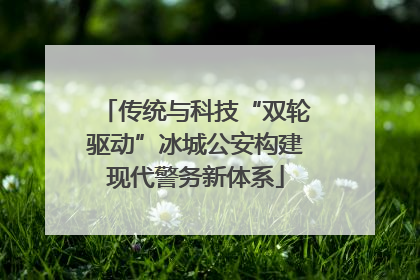 传统与科技“双轮驱动”冰城公安构建现代警务新体系