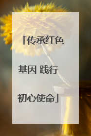 传承红色基因 践行初心使命