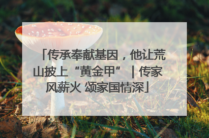 传承奉献基因，他让荒山披上“黄金甲”｜传家风薪火 颂家国情深