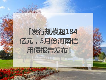 发行规模超184亿元，5月份河南信用债报告发布